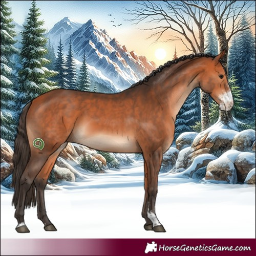 Horse Color:Bay Sabino Rabicano 