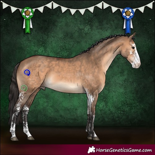 Horse Color:Brown Dun Sabino 