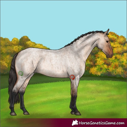 Horse Color:Bay Roan Dun Rabicano 