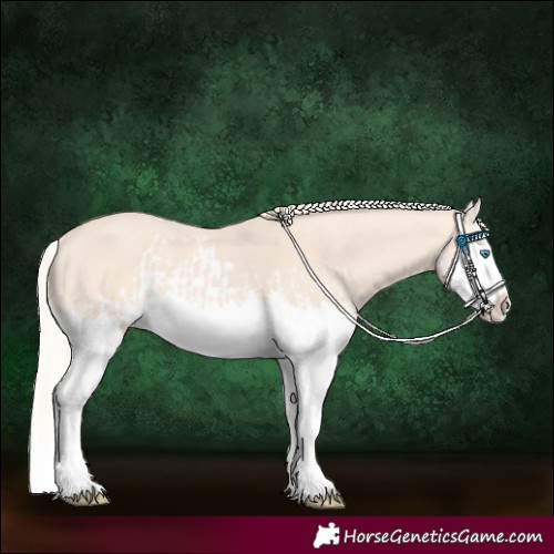 Horse Color:Perlino Splash  and Silver Perlino Splash 