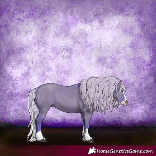 Horse Color:Watercolor Silver Grullo Splash 