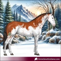 Horse Color:Bay Sabino  and Bay Sabino 