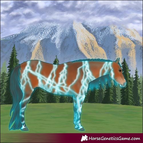 Horse Color:Thunderstruck Bay 