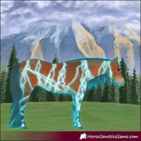 Horse Color:Thunderstruck Bay 