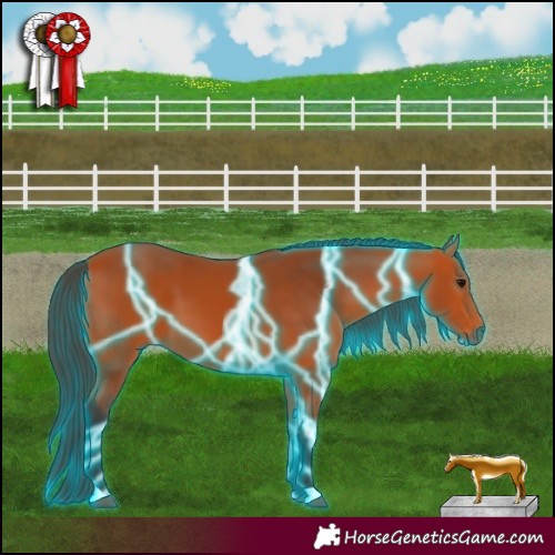 Horse Color:Thunderstruck Bay 
