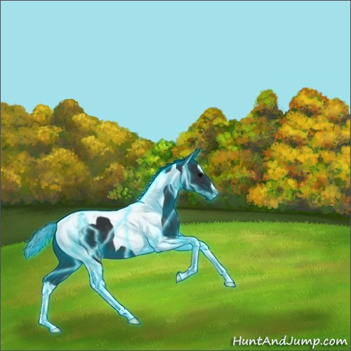 Horse Color:Thunderstruck Black Tobiano 