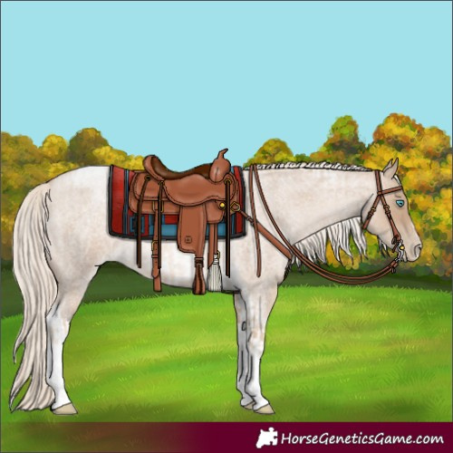 Horse Color:Chocolate Palomino Roan Pearl Tobiano Frame and Chocolate Palomino Roan Pearl Tobiano Frame