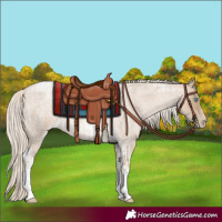 Horse Color:Chocolate Palomino Roan Pearl Tobiano Frame  and Chocolate Palomino Roan Pearl Tobiano Frame 