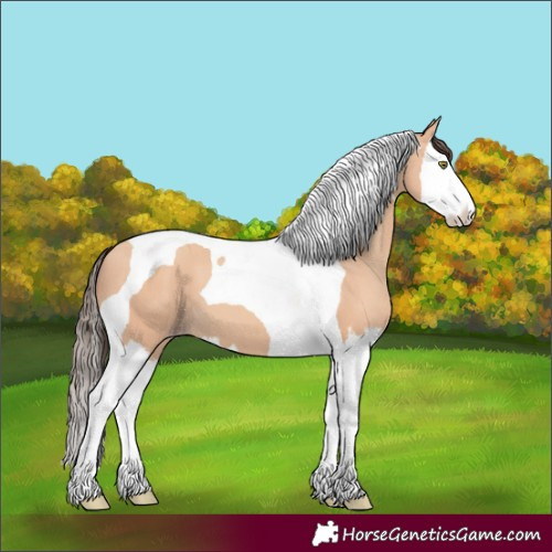Horse Color:Amber Champagne Splash Tobiano
