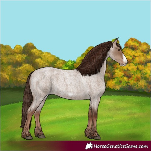 Horse Color:Liver Red Dun Roan Frame 