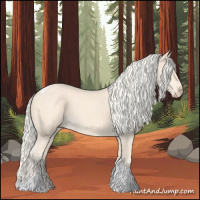 Horse Color:Cremello Tobiano 