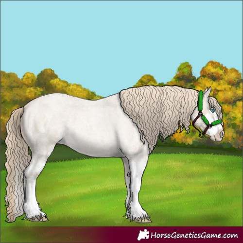 Horse Color:Smoky Creme Roan Splash  and Smoky Creme Roan Splash 