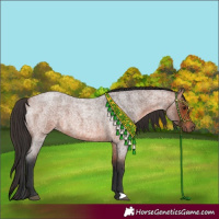 Horse Color:Bay Roan 