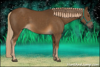 Horse Color:Chocolate Palomino 