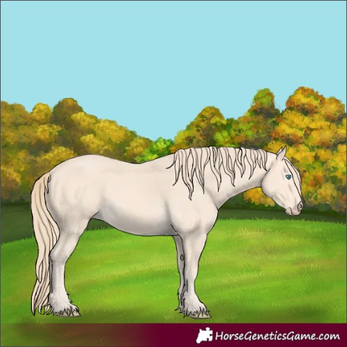 Horse Color:Perlino 