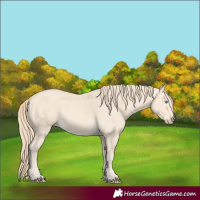 Horse Color:Perlino 