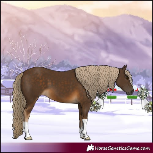 Horse Color:Chocolate Palomino 