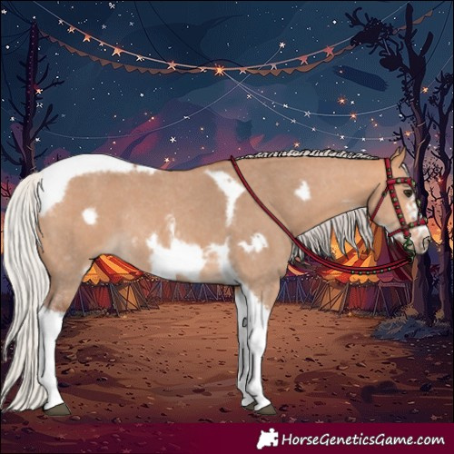 Horse Color:Silver Bay Dun Sabino Tobiano Frame Rabicano 