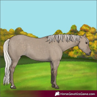 Horse Color:Silver Grullo 