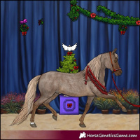 Horse Color:Chocolate Palomino Roan 