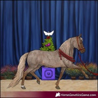 Horse Color:Chocolate Palomino Roan 
