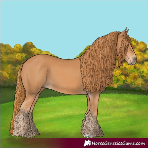 Horse Color:Chestnut 