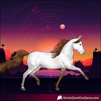 Horse Color:Gray Chestnut 