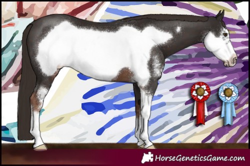 Horse Color:Liver Chestnut Sabino Frame 