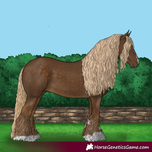 Horse Color:Chocolate Palomino 