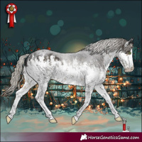 Horse Color:White Spotted Silver Smoky Black