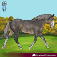 Horse Color:Silver Smoky Black Sabino 