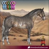 Horse Color:Silver Smoky Black Sabino 