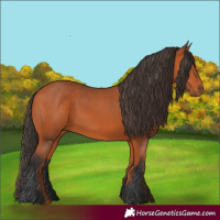 Horse Color:Unknown 