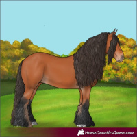 Horse Color:Unknown 