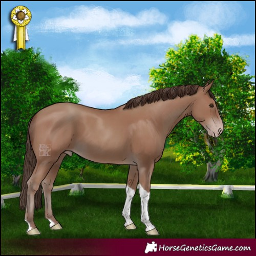 Horse Color:Classic Champagne Tobiano 