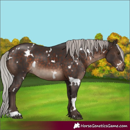 Horse Color:White Spotted Silver Brown Mushroom 