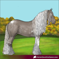 Horse Color:Silver Grullo Tobiano 
