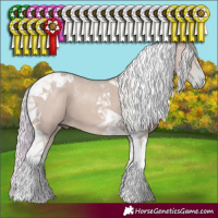 Horse Color:Watercolor Silver Grullo Tobiano 