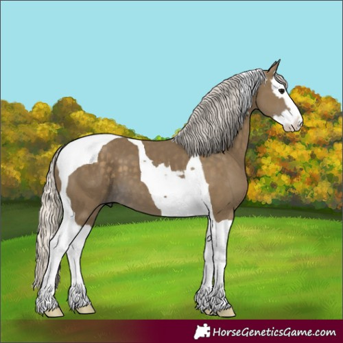 Horse Color:Silver Smoky Black Splash Tobiano 