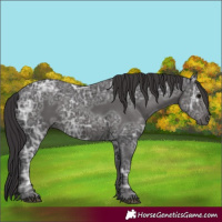Horse Color:Smoky Black Ice 