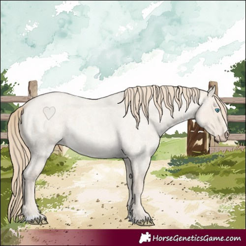 Horse Color:Smoky Creme Roan Dun 