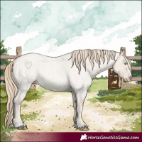 Horse Color:Smoky Creme Roan Dun 