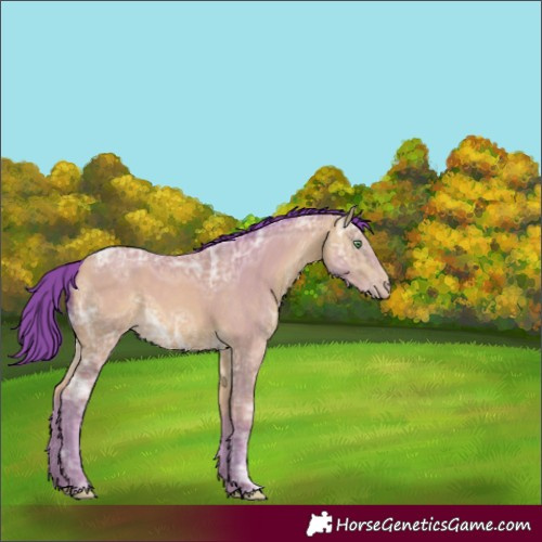 Horse Color:Watercolor Sable Cream Champagne Ice 