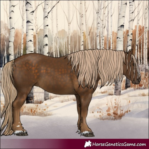 Horse Color:Chocolate Palomino 