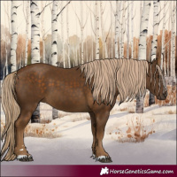 Horse Color:Chocolate Palomino