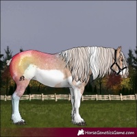 Horse Color:Silver Bay Dun Sabino Tobiano Frame Rabicano 