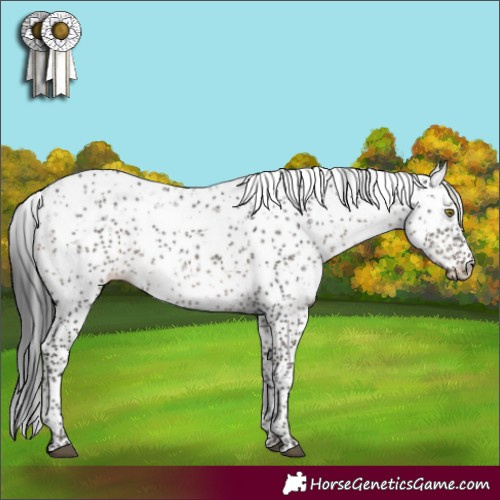 Horse Color:Grullo Sabino Brindle 