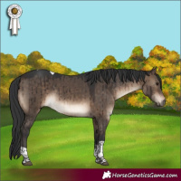 Horse Color:Brown Dun Sabino Tobiano Brindle 