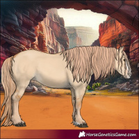 Horse Color:Red Dun Splash 