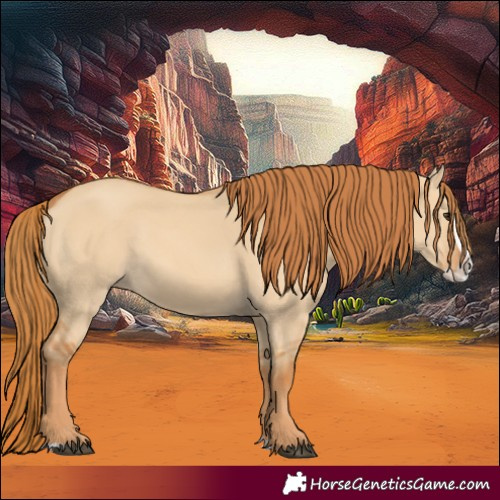 Horse Color:Red Dun Splash 